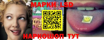 гидропоника Братск